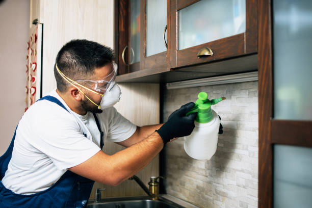 Best Affordable Pest Control Services  in Woodlawn Beach, FL