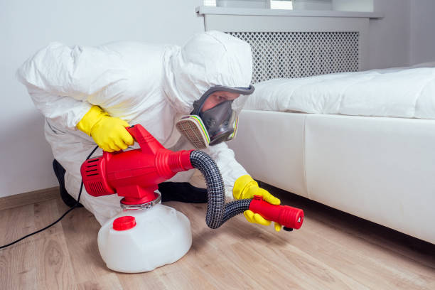 Best Rat Extermination Near Me  in Woodlawn Beach, FL