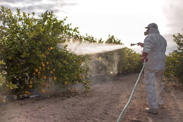 Best Mosquito Control Services  in Woodlawn Beach, FL