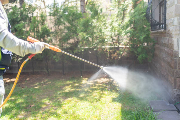 Best Affordable Pest Control Services  in Woodlawn Beach, FL