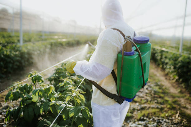 Best Best Pest Control Companies  in Woodlawn Beach, FL